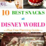 Best Snacks at Disney World