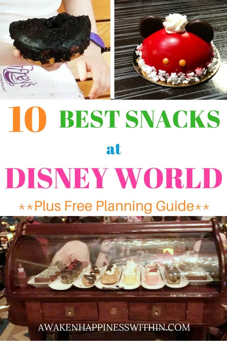 Snacks Included The 10 Best Snacks at Disney World - Awaken Happiness Within