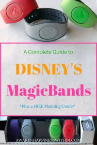 Everything you need to know about Disney World's MagicBands.