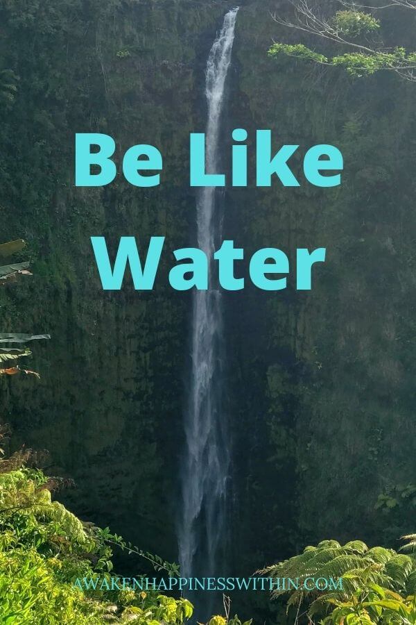 Be Like Water, Wisdom